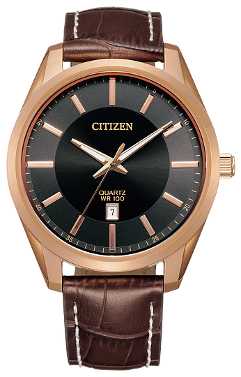 Citizen Quartz BI1033-04E Review