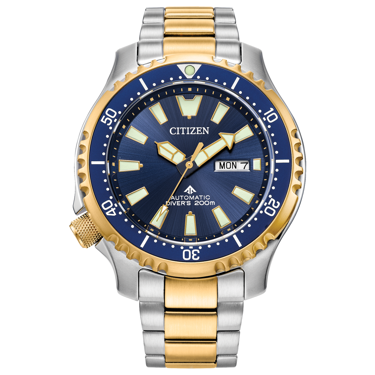 Promaster Dive Automatic NY0154-51L - GDG Watches